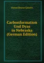 Carbonformation Und Dyas in Nebraska (German Edition) - Hanns Bruno Geinitz