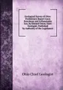 Geological Survey of Ohio: Preliminary Report Upon Petroleum and Inflammable Gas, by Edward Orton, State Geologist. Published by Authority of the Legislature - Ohio Chief Geologist