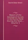 Report of the Geological Survey in Kentucky Made During the Years ., Volume 4 - David Dale Owen