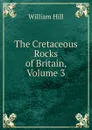 The Cretaceous Rocks of Britain, Volume 3 - William Hill