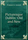 Picturesque Dublin: Old and New - Frances A. Gerard