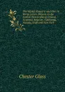 The World: Round It and Over It: Being Letters Written by the Author from England, Ireland, Scotland, Belgium . California, Nevada, Utah and New York - Chester Glass