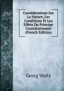 Considerations Sur La Nature, Les Conditions Et Les Effets Du Principe Constitutionnel (French Edition) - Georg Waitz