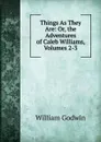 Things As They Are: Or, the Adventures of Caleb Williams, Volumes 2-3 - William Godwin