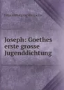 Joseph: Goethes erste grosse Jugenddichtung - И. В. Гёте