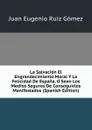 La Salvacion El Engrandecimiento Moral Y La Felicidad De Espana, O Sean Los Medios Seguros De Conseguirlos Manifestados (Spanish Edition) - Juan Eugenio Ruiz Gómez