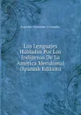 Los Lenguajes Hablados Por Los Indigenas De La America Meridional (Spanish Edition) - Francisco Fernández Y González