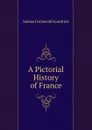 A Pictorial History of France - Samuel G. Goodrich