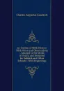 An Outline of Bible History: With Notes and Observations ; Adapted to the Minds of Youth, and Designed for Sabbath and Other Schools : With Engravings - Charles Augustus Goodrich