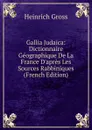 Gallia Judaica: Dictionnaire Geographique De La France D.apres Les Sources Rabbiniques (French Edition) - Heinrich Gross