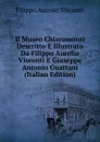 Il Museo Chiaramonti Descritto E Illustrato Da Filippo Aurelio Visconti E Giuseppe Antonio Guattani (Italian Edition) - Filippo Aurelio Visconti