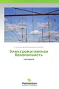 Электромагнитная безопасность - Станислав Михайлович Аполлонский