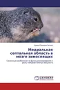 Медиальная септальная область в мозге зимоспящих - Ирина Юрьевна Попова