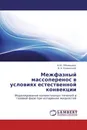 Межфазный массоперенос в условиях естественной конвекции - Н.Ю. Обвинцева, В. А. Каминский