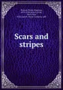 Scars and stripes - Porter Emerson Browne