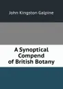 A Synoptical Compend of British Botany - John Kingston Galpine