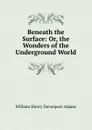 Beneath the Surface: Or, the Wonders of the Underground World - W. H. Davenport Adams