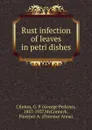 Rust infection of leaves in petri dishes - George Perkins Clinton