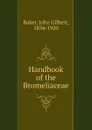 Handbook of the Bromeliaceae - John Gilbert Baker