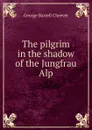 The pilgrim in the shadow of the Jungfrau Alp - George Barrell Cheever