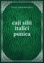 caji silii italici punica - Tiberius Catius Silius Italicus