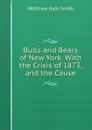 Bulls and Bears of New York: With the Crisis of 1873, and the Cause - Matthew Hale Smith