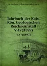 Jahrbuch der Kais. Kon. Geologischen Reichs-Anstalt. V.47(1897) - K.K. Geologische Reichsanstalt Austria