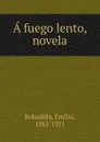 A fuego lento, novela - Emilio Bobadilla