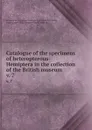 Catalogue of the specimens of heteropterous-Hemiptera in the collection of the British museum. v. 7 - Francis Walker