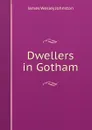 Dwellers in Gotham - James Wesley Johnston