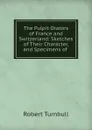 The Pulpit Orators of France and Switzerland: Sketches of Their Character, and Specimens of . - Robert Turnbull