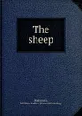 The sheep - William Arthur Rushworth