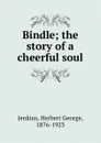 Bindle; the story of a cheerful soul - Herbert George Jenkins