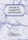 Joseph II., Leopold II. und Kaunitz - Joseph II