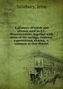 A glossary of words and phrases used in S.E. Worcestershire, together with some of the sayings, customs, superstitions, charms, .c. common in that district - Jesse Salisbury