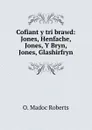 Cofiant y tri brawd: Jones, Henfache, Jones, Y Bryn, Jones, Glashirfryn - O. Madoc Roberts