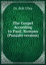 The Gospel According to Paul: Romans (Punjabi version) - Bob Utley