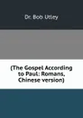 (The Gospel According to Paul: Romans, Chinese version) - Bob Utley
