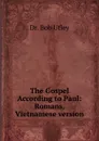 The Gospel According to Paul: Romans, Vietnamese version - Bob Utley