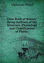 Class Book of Botany: Being Outlines of the Structure, Physiology and Classification of Plants . - Alphonso Wood