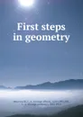 First steps in geometry - George Albert Wentworth