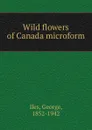 Wild flowers of Canada microform - George Iles