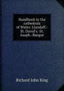 Handbook to the cathedrals of Wales: Llandaff.-St. David.s.-St. Asaph.-Bangor - Richard John King