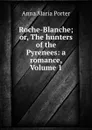 Roche-Blanche; or, The hunters of the Pyrenees: a romance, Volume 1 - Anna Maria Porter