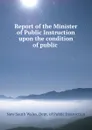 Report of the Minister of Public Instruction upon the condition of public . - New South Wales. Dept. of Public Instruction