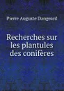 Recherches sur les plantules des coniferes - Pierre Auguste Dangeard