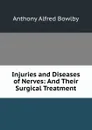 Injuries and Diseases of Nerves: And Their Surgical Treatment - Anthony Alfred Bowlby