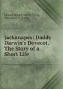 Jackanapes: Daddy Darwin.s Dovecot. The Story of a Short Life - Juliana Horatia Gatty Ewing