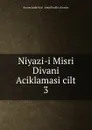 Niyazi-i Misri Divani Aciklamasi cilt 3 - ihramcizade haci ismail hakki altuntas