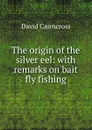 The origin of the silver eel: with remarks on bait . fly fishing - David Cairncross